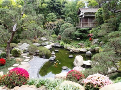 Vườn Nhật với sự kết hợp của nước