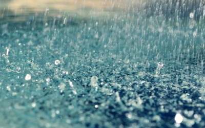 Có nên dùng nước mưa cho hồ Koi nhà bạn?
